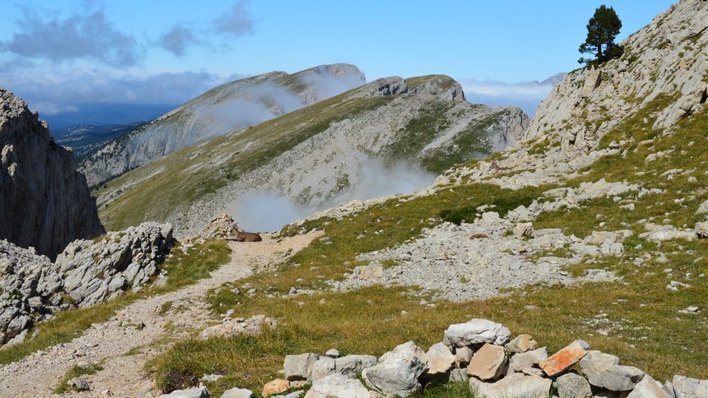 Que faire dans la Drôme — sentier de randonnée dans le Vercors
